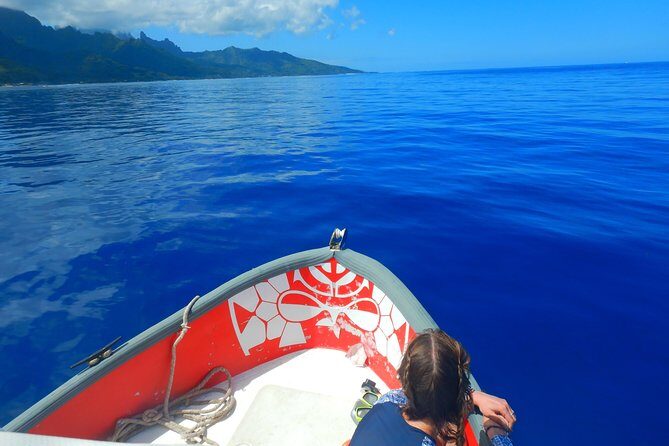 Boat tour 1/2 day Excursion in the lagoon of Moorea - Who Should Consider This Tour?