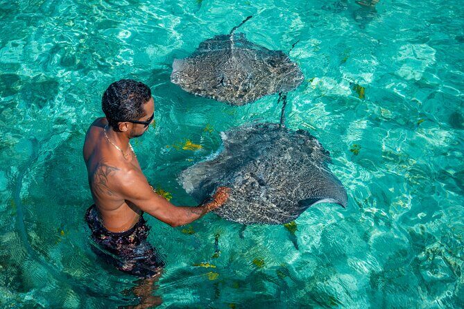 Bora Bora Half Day Snorkeling - The Sum Up