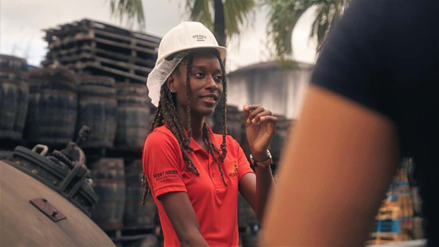 Bridgetown: Stades Rum Distillery Tour - The Sum Up: Who Will Love This Tour?