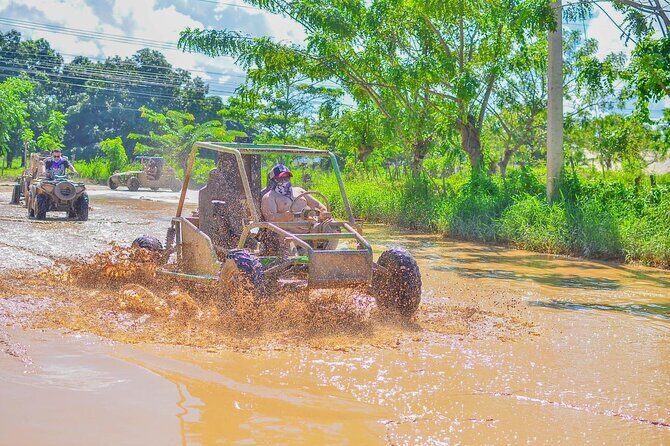 Buggies with Tour in Caves and Beaches - Why This Tour Is Worth It