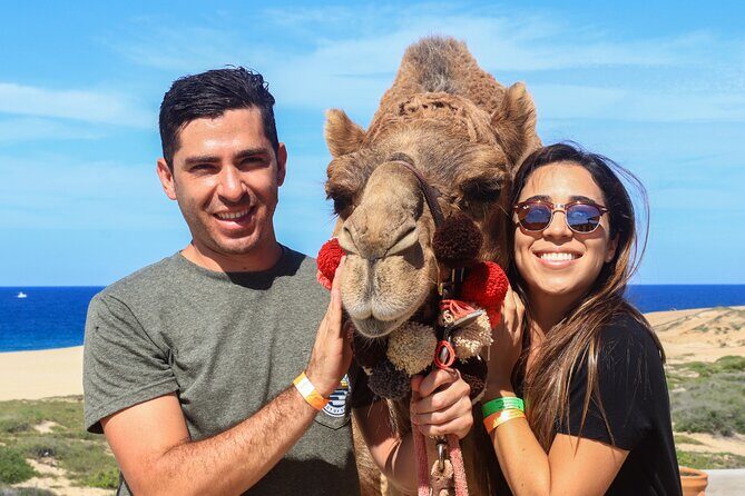 Cabo Camel Ride Experience - Final Thoughts: Who Will Love This?