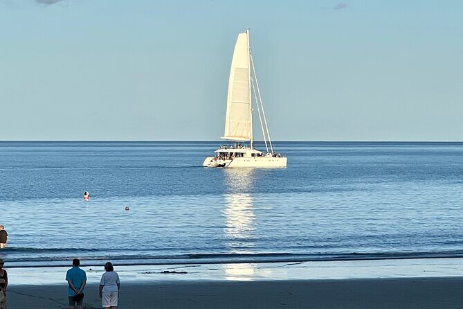 Cairns Airport to Port Douglas Shared Shuttle - Who Will Love This Service?