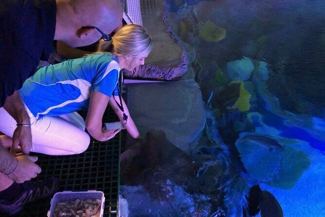 Cairns Aquarium Marine Life Encounter Ticket - Who Will Love This Experience