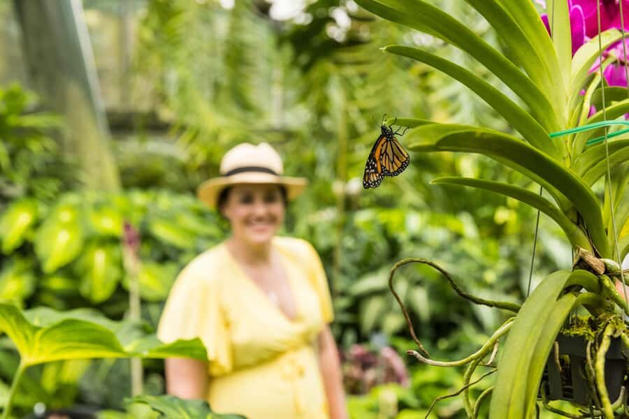 Cairns: Cairns City Sights & Surrounds Half Day Tour - Why This Tour Works Well