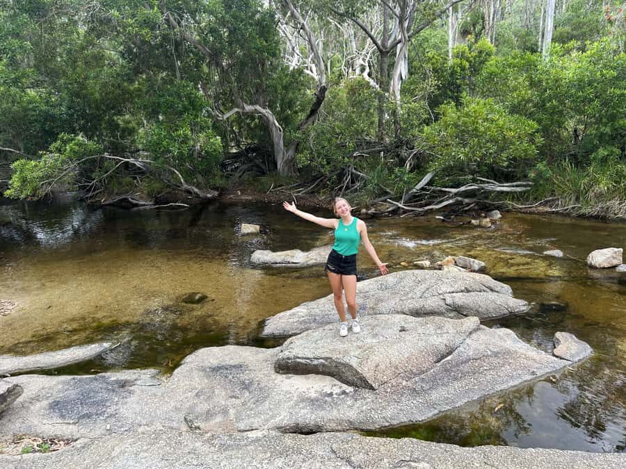 Cairns: Half-Day Premium 4WD Rainforest & Waterfall Tour - What the Tour Includes and Practical Tips