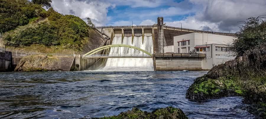 Cambridge, Matamata, Waitomo: 1-Hour Ecological River Cruise - The Value of the Experience