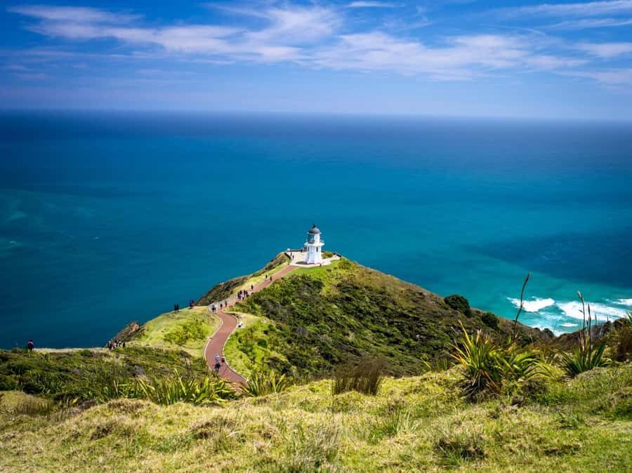 Cape Reinga: Day Trip from Paihia, Kerikeri, or Kaitaia - What Makes This Tour Stand Out