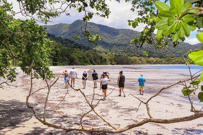 Cape Tribulation & Ziplining: Ultimate Daintree - Ziplining through Canopy: The Treetops Adventure