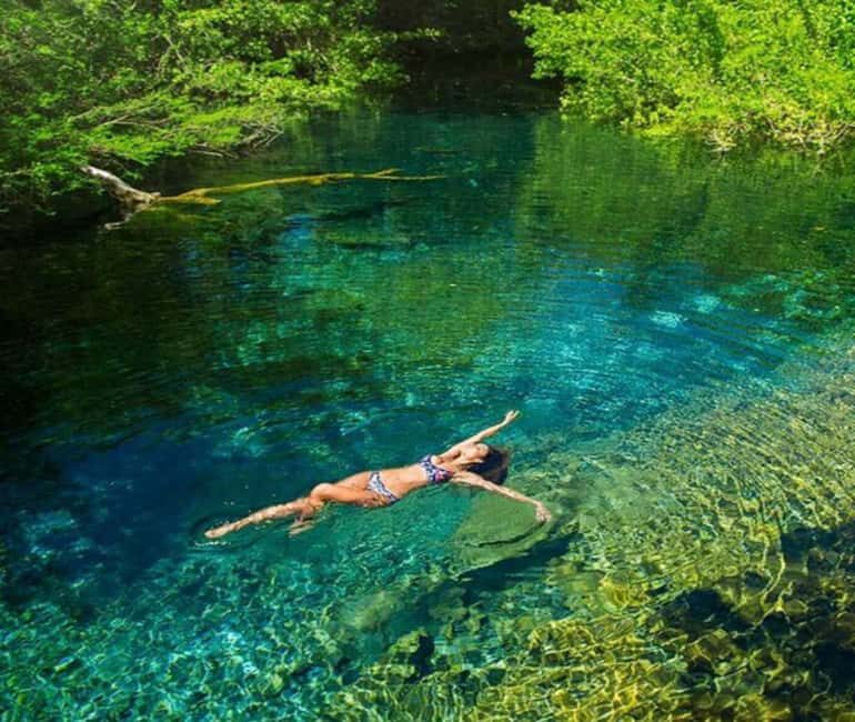 Caribbean Sea With Lagoon Half Day Tour - A Detailed Look at the Tour Experience