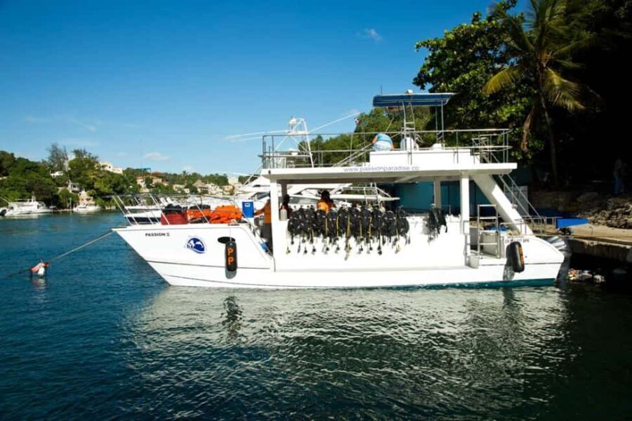 Catalina Island Scuba Diving Tour from Punta Cana - The Full Experience: What to Expect on the Tour