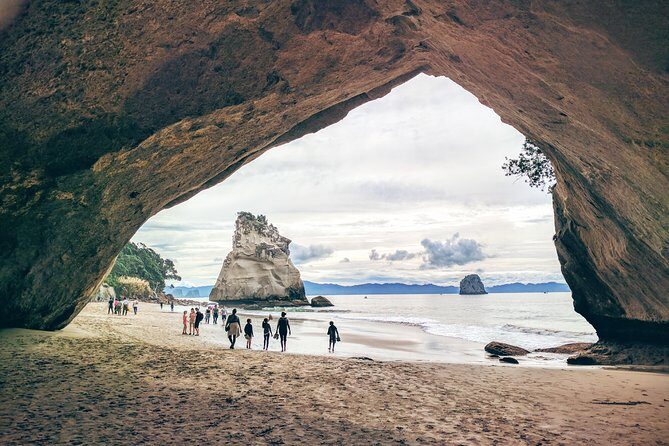 Cathedral Cove Day Trip from Auckland - Mount Paku: Volcanic Views