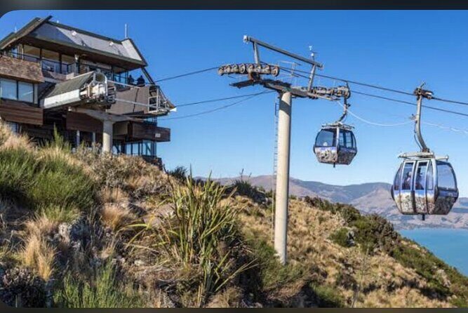 Christchurch City Full Day Private Tour - What to Expect from the Itinerary