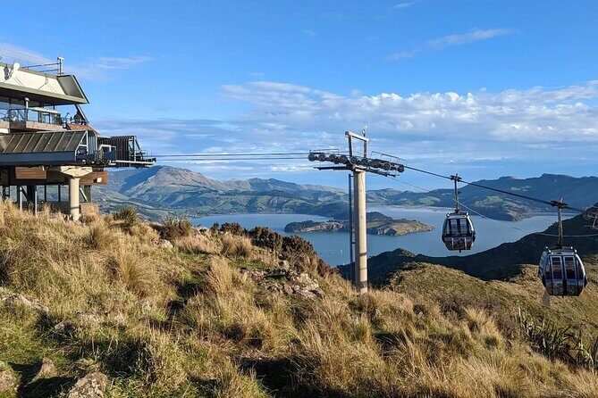 Christchurch City Full Day Tour - Transportation, Timing, and Overall Value