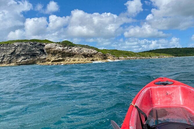 Clear Bottom Kayaking and Snorkel Reef Exploration - Final Thoughts: Is This Tour Worth It?