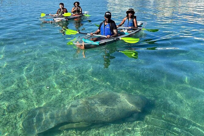 Clear Kayak Tour in Condado Lagoon - Who Will Love This Tour?