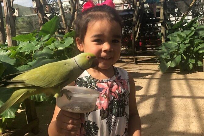 Colorful Species Of Birds - The Itinerary in Detail: What to Expect