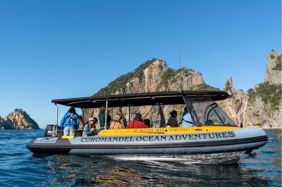 Coromandel: Aldermen Islands Marine Reserve Wildlife Cruise - An In-Depth Look at the Tour Experience