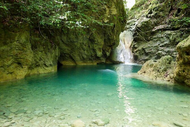 Damajagua 7 Waterfalls Adventure with Traditional Dominican Lunch - The Day in Detail: What You Can Expect