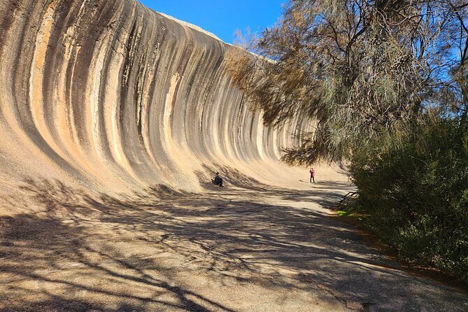 Day Tour in Wave Rock and Mulka's Cave - What Travelers Are Saying