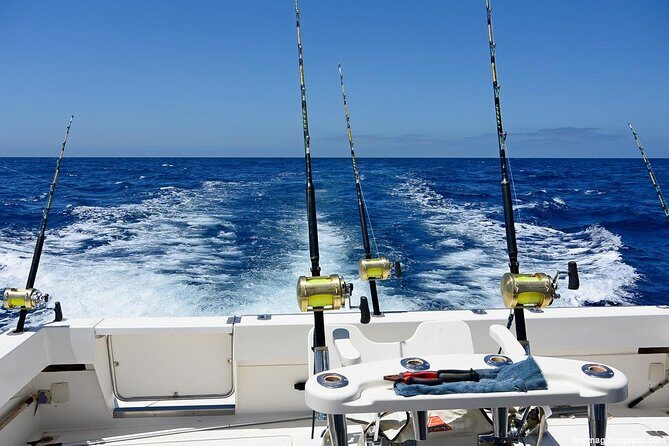 Deep Sea Fishing Tour - The Good and the Not-So-Good
