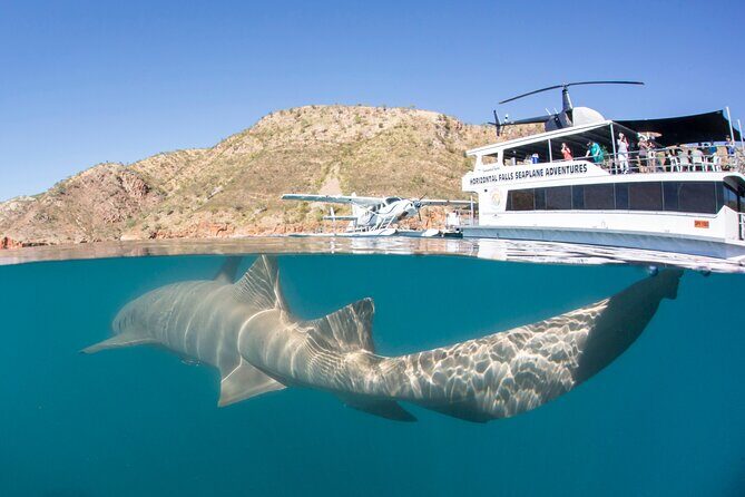 Derby to Horizontal Falls Half Day Adventure - Practical Tips for Travelers