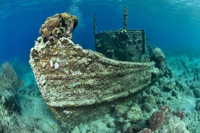 Discover Scuba Dive in Curacao - Why This Tour Works Well