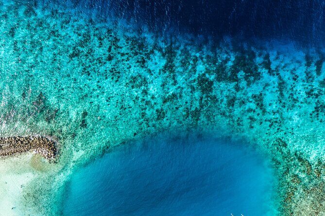 Discover Scuba Diving Experience - Practical Details and Value for Your Money