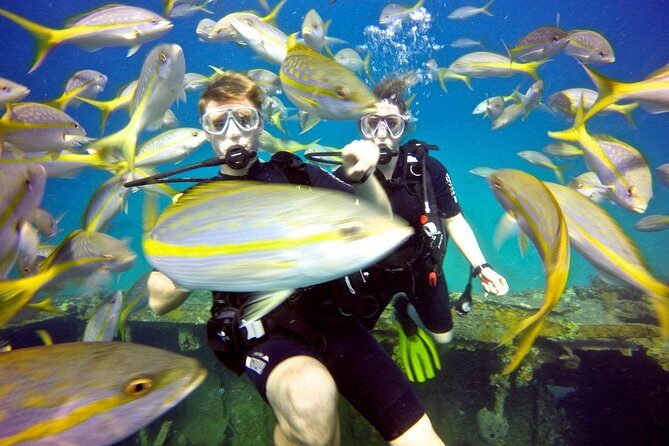 Discover Scuba Diving with No Certification in St Thomas - The Value of the Experience