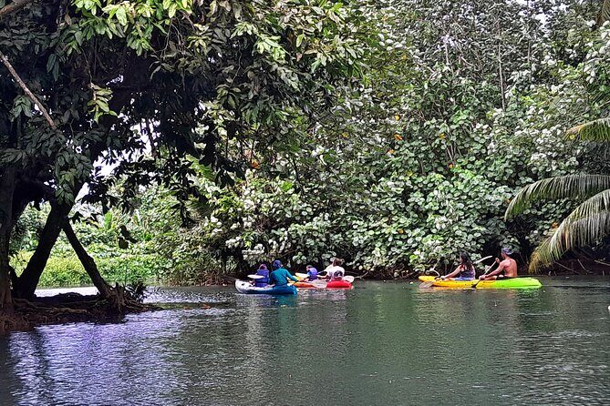 Discovery in Kayaking of the Faaroa River in Raiatea - What Travelers Say: Authentic Perspectives
