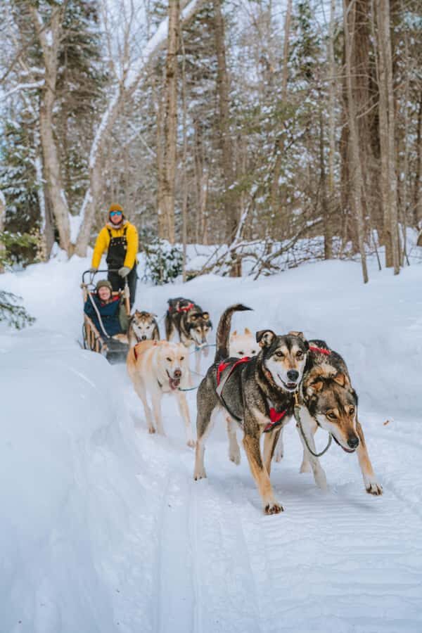 Dogsledding Upper Laurentians near Mont-Tremblant - Practical Details and Logistics