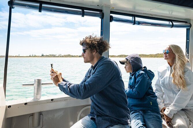 Dolphin, Sea Lion and Penguin Island Cruise - The Itinerary in Detail: What Makes It Stand Out