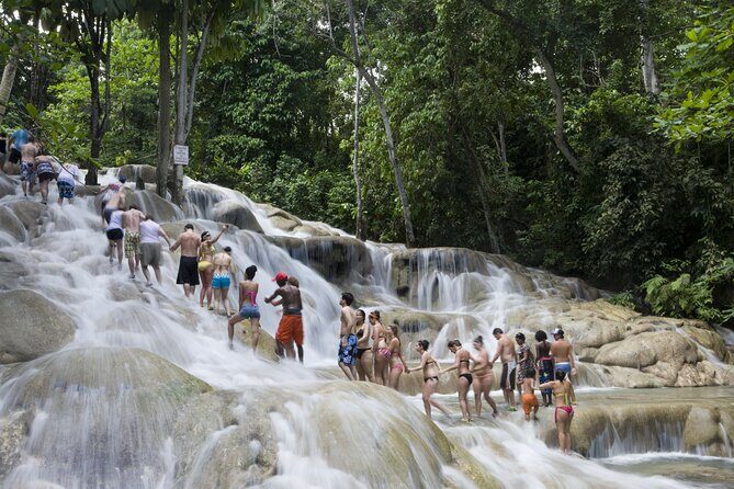 Dunn's River Falls plus Luminous Lagoon (Glistening Water)Private Tour - Detailed Breakdown of the Itinerary