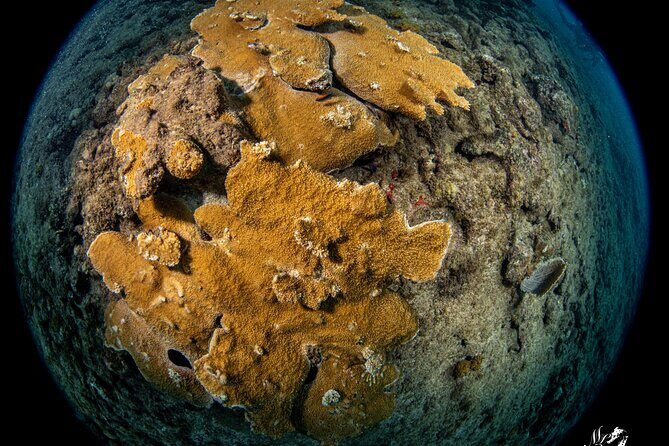 Experience Scuba - The Practicalities