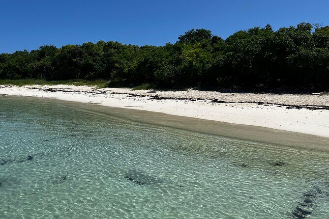 FANTASTIC Green Island and Sea Turtles - Half Day share boat trip - What Reviewers Love and Not