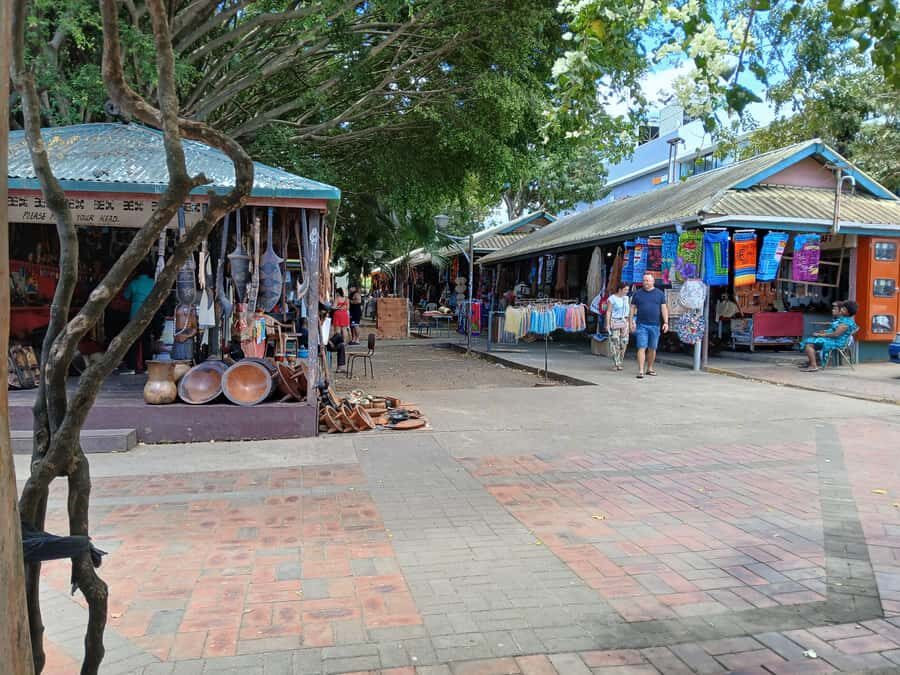 Fiji: Discover Nadi with Sabeto Hotspring and Mudpool Tour - Getting the Most Out of Your Day