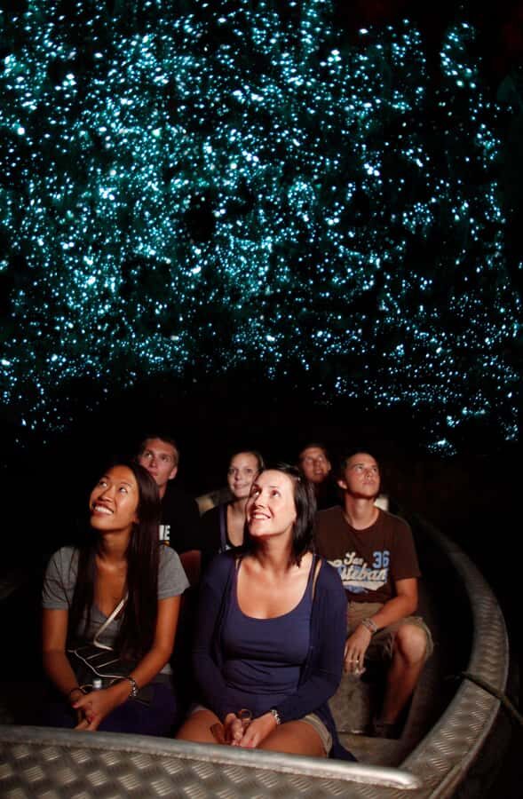 From Auckland: Waitomo Caves and Kiwi House Group Tour - The Itinerary: What to Expect