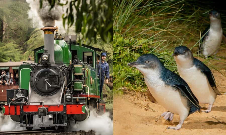 From Melbourne: Puffing Billy & Penguins Combo Tour Package - What Makes This Tour Stand Out?