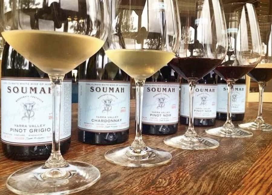 From Melbourne: Redwoods Forest & Yarra Valley Wine Tour - What Makes This Tour Stand Out?