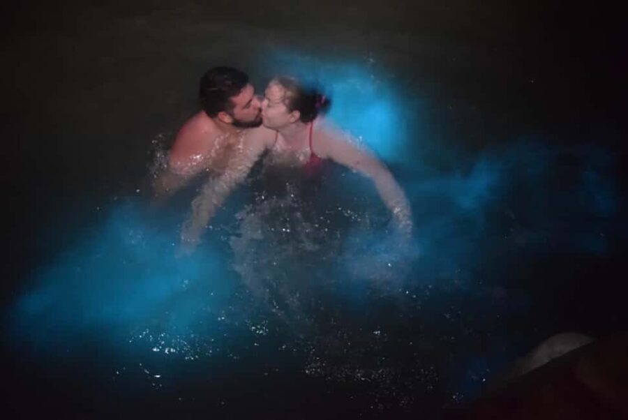 From Montego Bay: Luminous Lagoon Night Tour - What to Expect from the Luminous Lagoon Night Tour