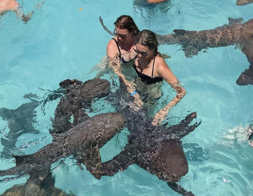 From Nassau: Exuma Powerboat Tour and Pig Beach with Lunch - The Powerboat Experience