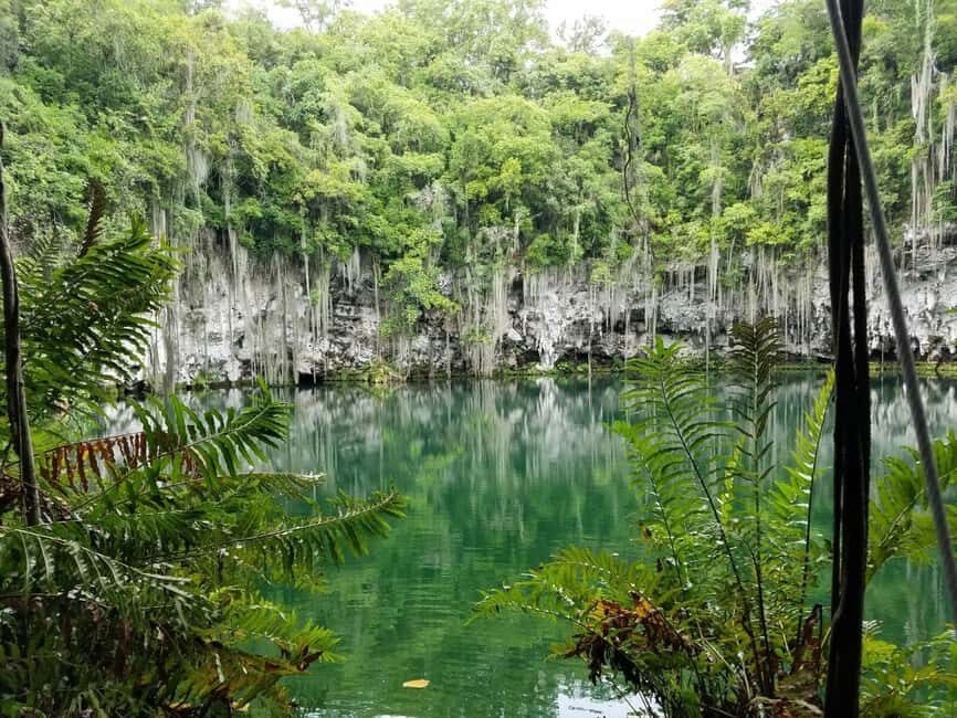 From Punta Cana: Santo Domingo Full-Day Tour with Lunch - A Comprehensive Look at the Itinerary and Highlights