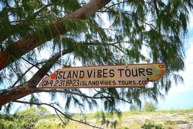 Full Day Beach BBQ Lunch & Snorkeling Excursion in Grace Bay - Who Would Love This Experience?