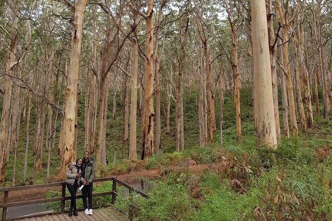 Fully Tailored Private Bespoke Tour of Margaret River - Deep Dive into the Itinerary