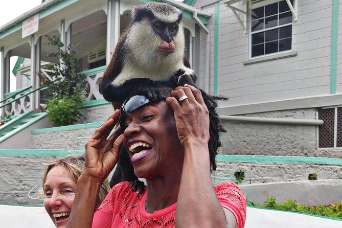 Funtastic 4 x 4 Safari & River Tubing Adventure Grenada - What Makes This Tour Stand Out