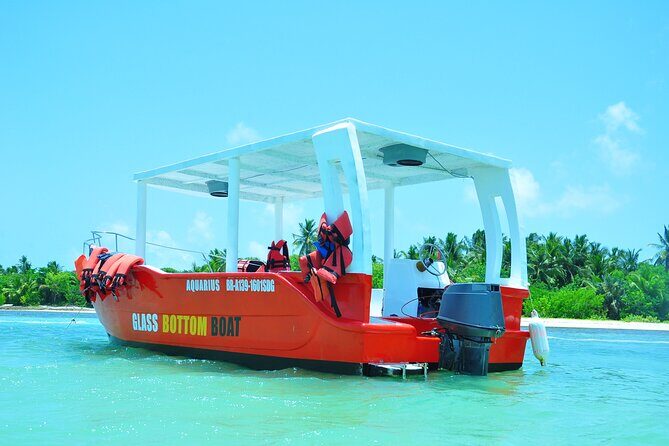 Glass-bottom boat tour to Punta Cana - Authentic Experiences & Traveler Insights