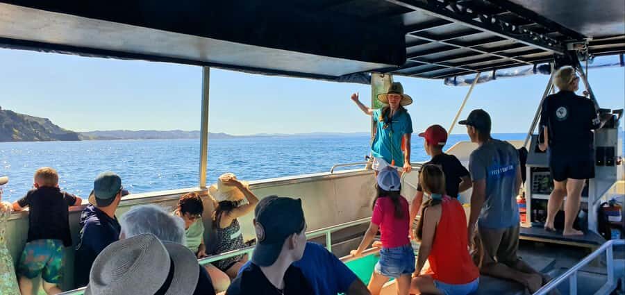 Goat Island: Glass Bottom Boat Tour - Marine Life and Sightings