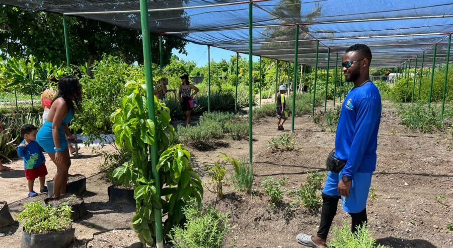 Golf Cart Eco Tour Half Day Tour - Why This Tour Offers Good Value