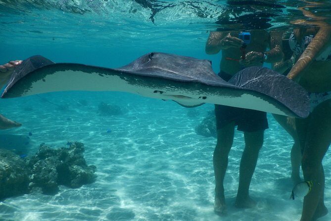 Grand Combo 3H00 of Jetski + 2H30 of Quad - The Sum Up