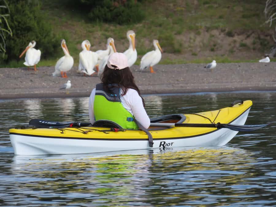 Grant Village: Yellowstone Lake Guided Kayak Tour with Lunch - An Engaging Yellowstone Experience on the Water