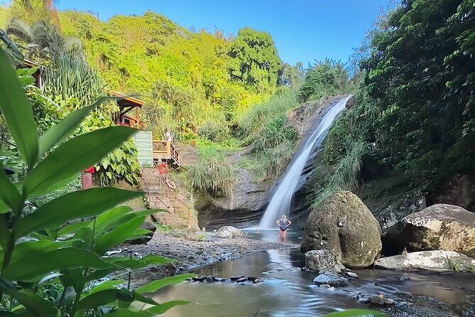Grenada Day Tour-Concord Falls, Chocolate, Rum & Grand Etang Lake - Exploring the Local Flavors: Chocolate and Rum